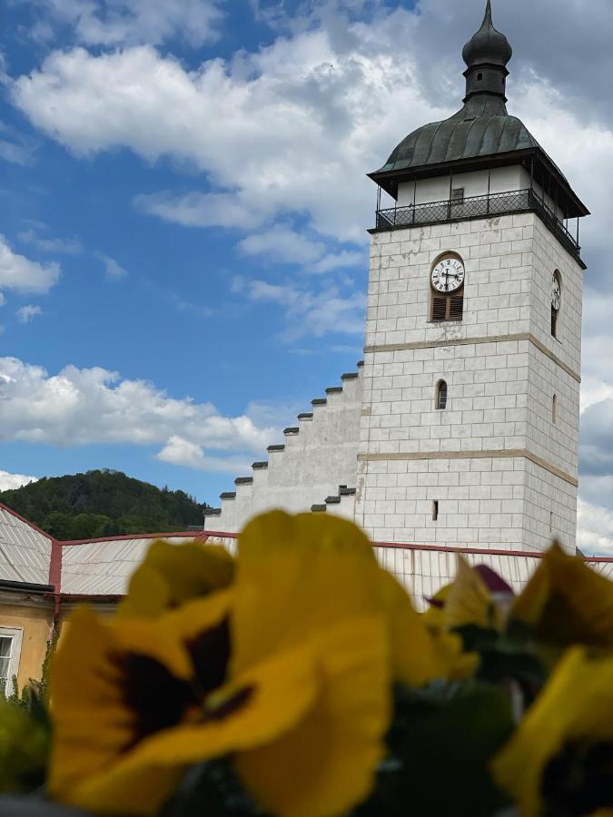 Apartmán Gold na zámku Ceska Kamenice Exterior foto